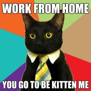 work from home